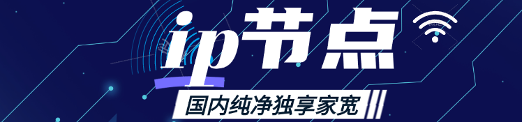 IP节点