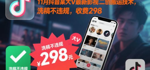 11月抖音某大V最新影视二创搬运技术，洗稿不违规，收费298