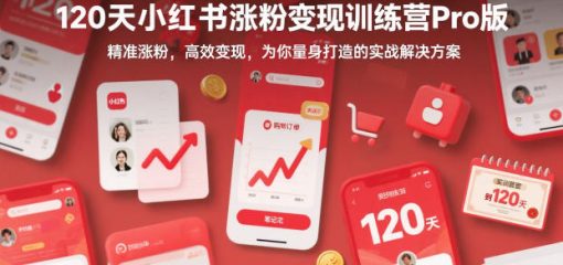 120天小红书涨粉变现训练营Pro版，精准涨粉，高效变现，为你量身打造的实战解决方案