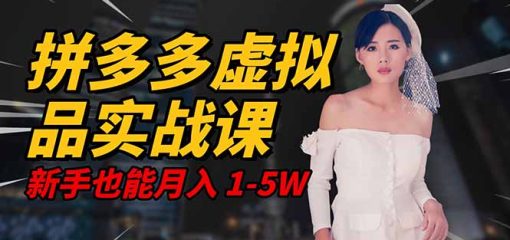2025 拼多多虚拟品系统实战课，轻资产项目，可矩阵开工作室，新手也能…