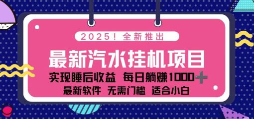 2025最新汽水音乐挂机项目 每天几分钟 轻松上w