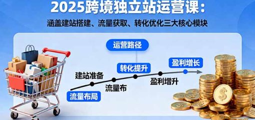 2025跨境独立站运营课：涵盖建站搭建、流量获取、转化优化三大核心模块