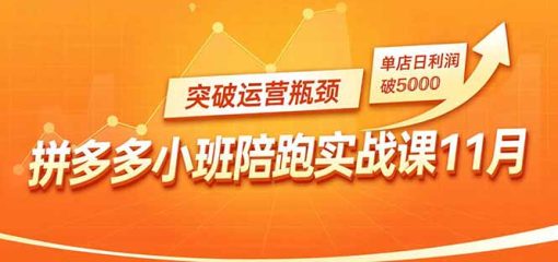 拼多多小班陪跑实战课11月,强付费矩阵、原价活动、暗券引流,突破运营瓶颈,单店日利润破5000