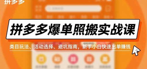 拼多多爆单照搬实战课，类目玩法、活动选择、避坑指南，新手小白快速出单赚钱