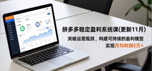 拼多多稳定盈利系统课(更新11月