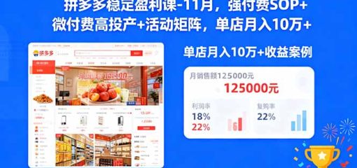 拼多多稳定盈利课-11月，强付费SOP+微付费高投产+活动矩阵，单店月入10w+