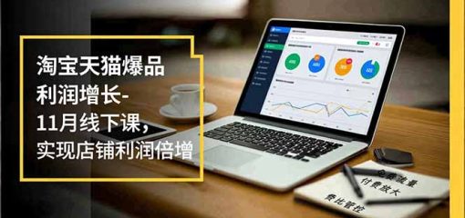 淘宝天猫爆品利润增长-11月线下课，免费流量、付费放大、费比管控，实现店铺利润倍增