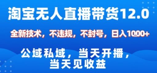 淘宝无人直播12.0，公域私域技术，不封号，不违规布局双十一流量风口，日入1k(独家技术)【揭秘】