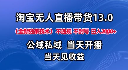 淘宝无人直播13.0，公域私域技术，不封号，不违规布局下半年旺季赛道，日入1K+(独家技术)【揭秘】