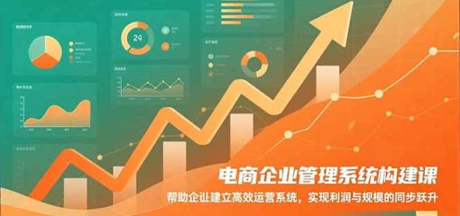 电商企业管理系统构建课：帮助企业建立高效运营系统，实现利润与规模的同步跃升