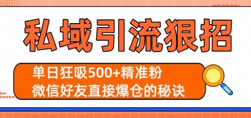 私域引流狠招：单日狂吸500+精准粉，微信好友直接爆仓的秘诀