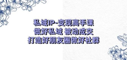私域IP-变现高手课：做好私域 被动成交，打造好朋友圈做好社群（18节）