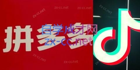 老陶电商·拼多多+抖音小店无货源开店(更新11月)