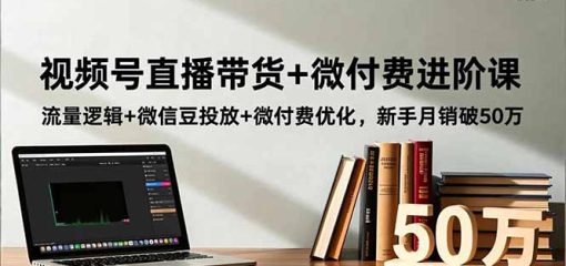 视频号直播带货+微付费进阶课：流量逻辑+微信豆投放+微付费优化，新手月销破50万