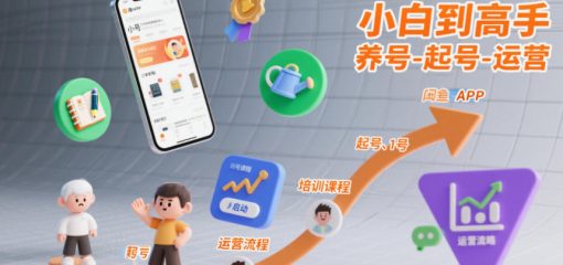闲鱼引流培训，小白到高手，养号-起号-运营