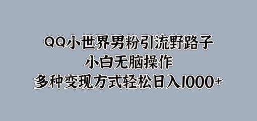 QQ小世界男粉引流野路子，小白无脑操作，多种变现方式轻松日入1000+